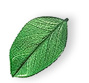floating_leaf_01 https://sweetluxefacility.com/wp-content/uploads/2025/07/floating_leaf_01.png